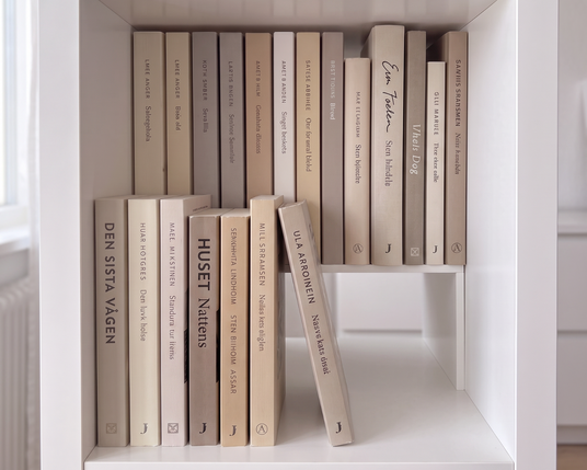 KALLAX Einsatz Bücher
