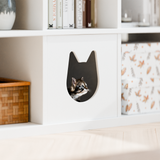 Ikea Kallax Regal Expedit Katzenhaus Kratzbaum Katzenhöhle Katzentoilette 